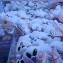 모모뽑기방 이미지