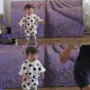 씨유 영흥점 | 영흥도 펜션 아이와 갯벌 체험 장경리 해수욕장 펜션 아이엠