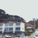 쉐이리코타키나 네이버블로그