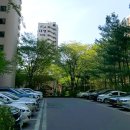 대명아파트 단지 내 | [망우역] &#39;신내11단지대명아파트&#39; 임장 후기