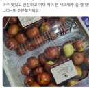 한자람농원