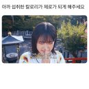 2024 워커힐 와인 페스티벌 (feat. 50종류가 넘는 와인이 곁들여진..) 🍂