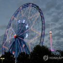The fair w 이미지