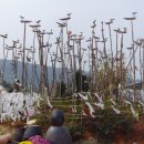 진또배기 이미지