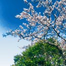 에스엠성형외과의원 이미지