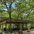 독골닭집 이미지