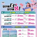 굿안경콘택트 네이버블로그