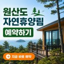 원산부분정비;원산농원 | 원산도 자연휴양림 예약방법, 추첨제·선착순 성공 꿀팁까지