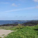 하도스테이 이미지