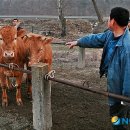 오향1리 이미지