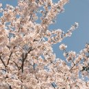 후지필름 X-T50 후기 및 사진 모음집