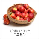 [내몸에 맞는 복숭아 고르기] 이미지