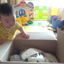 이정헤어앤메이크업 - 49058 | 이정헤어앤메이크업