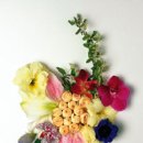 천연화장품 이미지