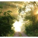 고요 이웃 이미지