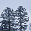 남한산초등학교 이미지