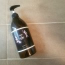 샴프네집 이미지