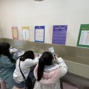 더그레이스음악학원 이미지