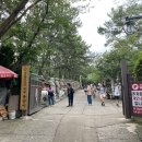 이마트에브리데이 부산일광점 | 해파랑길 걷기 Day2 │ 2코스 일부~3코스(송정~임랑해수욕장) 후기부터 맛집과 숙소까지 알찬 총정리