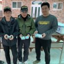 진성농산 이미지