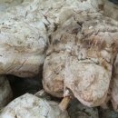 이규선경희한의원 이미지