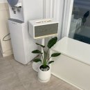 카페 니즈 이미지