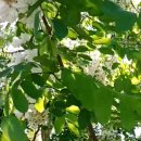 한얼중학교 이미지