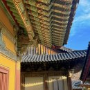 통기타와 노래 완전 마스터하기 | 경북 안동 가볼만한곳 근처 기미주안 투어 전통주 체험 여행지