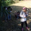 효탑초등학교 이미지