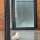 온달 그루밍 | 25.08 넷째주 일상