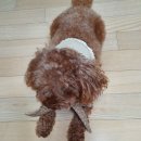 양재수선(저녁) 이미지