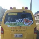 맹호태권도