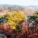 정안요양병원 - 고양시 일산동구 | 정안요양병원