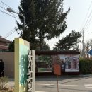 용산생활체육공원2 | 서울 목련 명소 용산공원 부분개방부지 피크닉 데이트