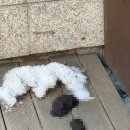 화들짝
