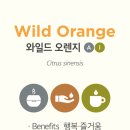 하늘빛사랑정신건강의학과의원 이미지