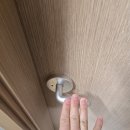 펫# | 영림 양문형 중문, 펫도어 후기