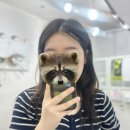 마두역 눈썹왁싱 잘하는 곳, 모나리자 눈썹왁싱 솔직 후기