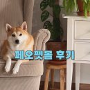 주주애견할인매장 | 애견용품할인매장 대신 페오펫몰 이용후기 (프리미엄 멤버십 구독)