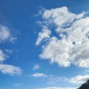 키즈포레스트 이미지