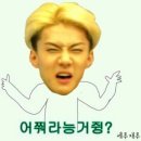 플라시드