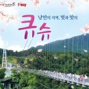 제이티비