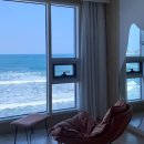 트라제4 | 경주 감포트라제 풀빌라 4동 4층 내돈내산 숙박 후기 I 전 객실 오션뷰, 미온수 수영장