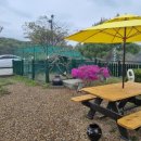 희희낙락풀빌라 이미지