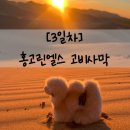 피어99 | 고비스타트래블 몽골 6박 7일 내돈내산 후기 | 3일차 홍고린엘스 고비사막