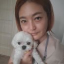 조아스포츠마사지 이미지
