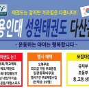 용인대 성원 태권도 이미지