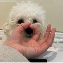 나른한 오후의 목욕 이미지