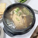 장수참옻닭 | 여수 무선 맛집 장수참옻닭 삼계탕 후기