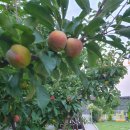 하얀집 STAY | 경주 펜션 - 하얀집 STAY 방문후기